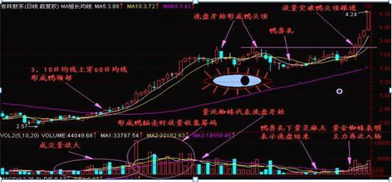 玩了一辈子的股票，终于在"老鸭头"看到了赚钱希望