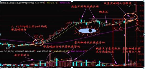 玩了一辈子的股票，终于在"老鸭头"看到了赚钱希望