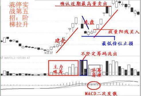 为何业绩好的股票不涨，业绩差的股票疯涨？你还相信价值投资吗