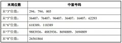 国泰君安等11只新股网上申购中签号出炉