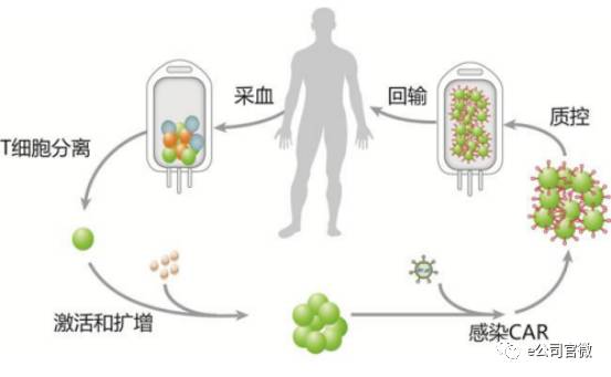 CAR-T现在只能治疗血液性肿瘤，在其他癌症，特别是实体癌上，还任重道远。这是因为漂浮游荡在血液中的肿瘤细胞更容易被改造后的T细胞精确瞄准，各个击破，而实体瘤是由肿瘤细胞、纤维细胞和免疫细胞等组成的致密包块，想要一举消灭实体瘤非常困难。