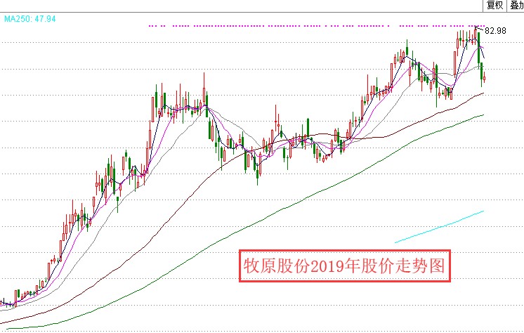 议市厅丨猪肉涨价何时休？他靠22头猪起家，5年身价超1000亿成中国养猪界首富，牧原股份后市何去何从？