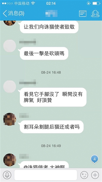 网友“血债必须血偿”提供的虐猫群聊天记录截图。