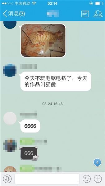 网友“血债必须血偿”提供的虐猫群聊天记录截图。