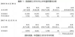 百信银行一周年：一家崛起的“互联网银行”