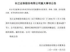 长江证券董事长杨泽柱被查 曾誓言不搞鬼不出事