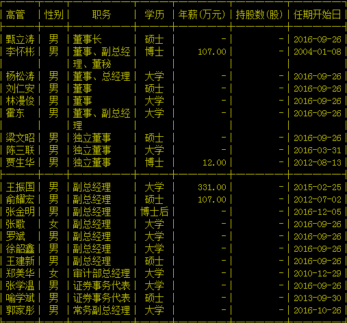 嘉凯城集团股份有限公司高管列表