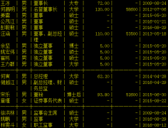 鹏欣资源副总汪涵辞职 薪酬百万曾任鹏欣矿业总经理