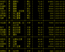 现代投资总经理刘初平辞职 总会计师