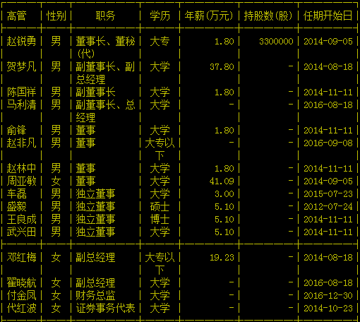 长城国际动漫游戏股份有限公司高管列表