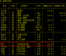 纳思达常务副总经理宋红辞职 曾任联想集团副总裁