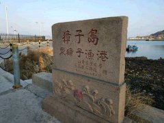 獐子岛回应我们了：扇贝死于“天命难违”，你信吗