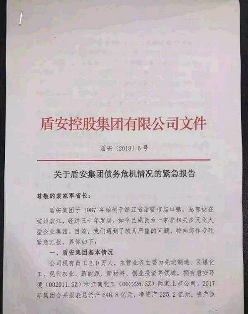 截至目前，盾安集团等各项有息负债超过450亿，除了120亿的债券外，绝大部分银行和非银行金融机构的贷款都集中在浙江省内。