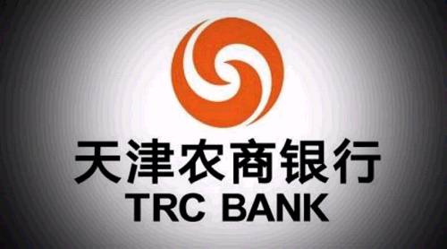 滨海农商行成立于2007年12月29日，是国内首家总部坐落于滨海新区的具有独立法人资格的新型股份制商业银行，滨海农商行是在原天津塘沽农村合作银行、天津大港农村合作银行和天津市汉沽区农村信用合作联社改制重组的基础上，注入新股本而成。