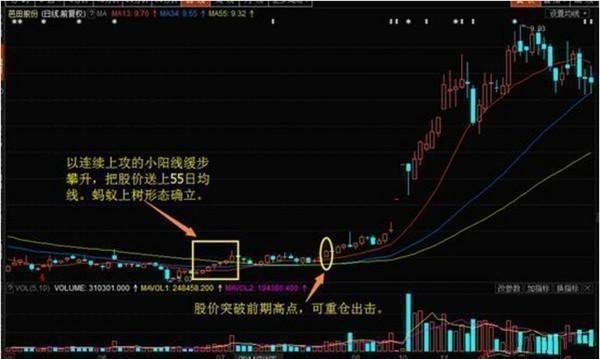 复旦一女博士告诉你：我用一只母鸡，就能把股市给你讲明白了