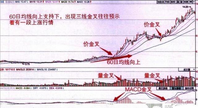 当你负债累累，连亲戚都冷落你的时候，不妨试试"苏黎世投机定律"