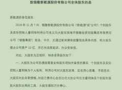 珠海银隆投资集团：公司实际控制人董明珠为个人私利 对大股东发难