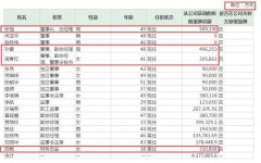 董事长年薪110亿？董监高总薪酬近700亿？这些“奇葩