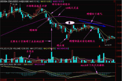 一位股市奇才泣血总结：补仓操作黄金铁律：8补8不补