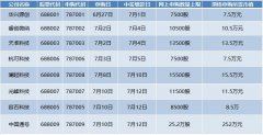 顶格申购要市值252万！首个科创板“巨无霸”7月10日