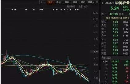 大盘还可以继续上涨，但仅属于小级别的反弹