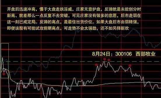 为什么10万以下炒股一般都会赔？因为他们连分时图基本法则都不懂