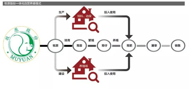 上市公司养猪模式，杠杆养猪PK重资产