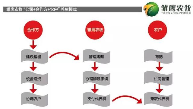 上市公司养猪模式，杠杆养猪PK重资产