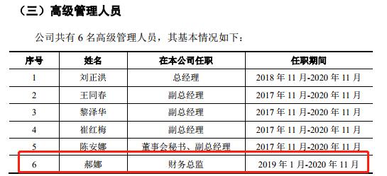 金科环境带病过会：知法仍违法且会计基础薄弱！IPO关键时刻仍缺财务总监……