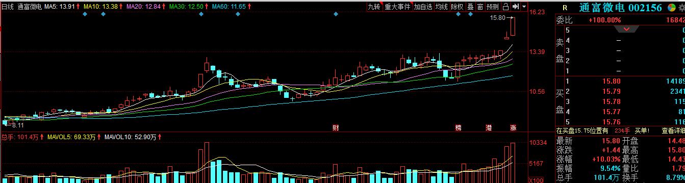 高人气002156：芯片概念股，今日一飞冲天！股民：未来或10倍大牛