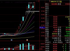 A股第一家族横空出世——东方氏