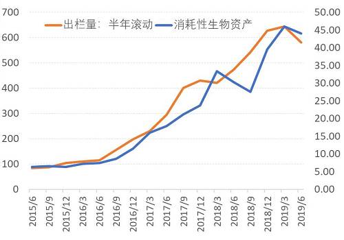 猪肉股的那些事，5000字深度分析牧原股份!