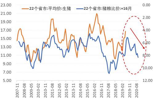 图18:养殖利润领先猪价16个月