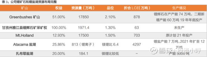 天齐锂业涨停 4百亿市值扛230亿债务 赚钱能力堪比茅台的落难王子