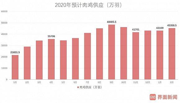 2020投资策略：超级鸡周期或终结 家禽业冰火两重天