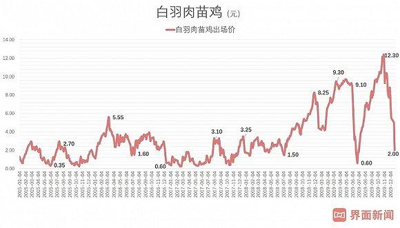 2020投资策略：超级鸡周期或终结 家禽业冰火两重天