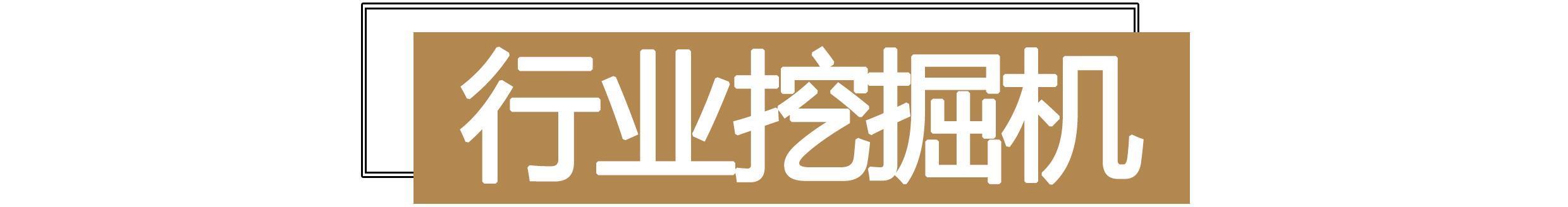 一份被严重低估龙头的重要名单