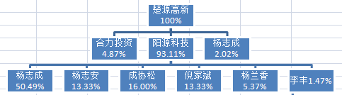 楚源高新