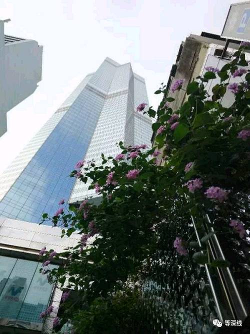香港中环中心大厦 《等深线》记者 周远征 摄