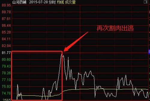 山河药辅应该是舒逸民操作非常失败的一个案例，通常游资的操作手法是涨停后第二天不管是否获利必须卖出。而舒逸民在已经获利时，未能及时落袋为安，反而加大筹码，在股价出现大幅低开的情况下，也未能及时割肉，反而在跳水之时才想到出逃，到了最后一天完全就是在跌停板上出货了。