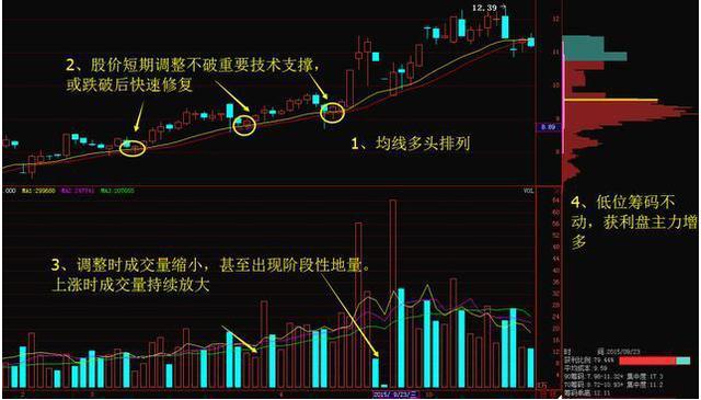 为什么散户总会看错行情？当我把“无量下跌”和“放量下跌”搞清楚了，我终于开始扭亏为盈