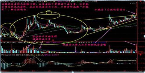 巴菲特点破中国股市：A股目前股价已经在低位，庄家却还不肯进场买股票，你知道是怎么回事？