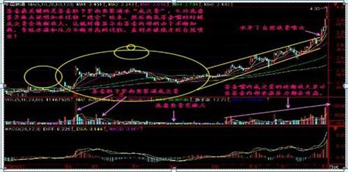 巴菲特点破中国股市：A股目前股价已经在低位，庄家却还不肯进场买股票，你知道是怎么回事？