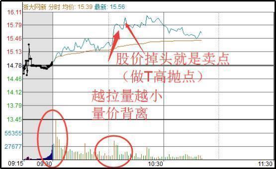 终于有人把A股不敢说的话说出来了：主力如何利用“T+1”规则来坑害散户？作为投资者你怎么看