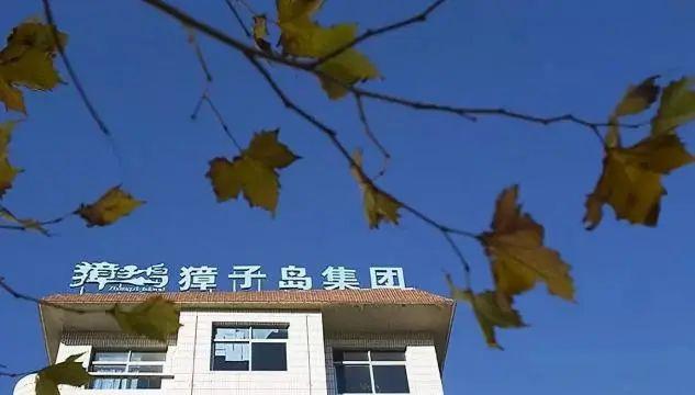 “獐子岛扇贝”到底是个啥