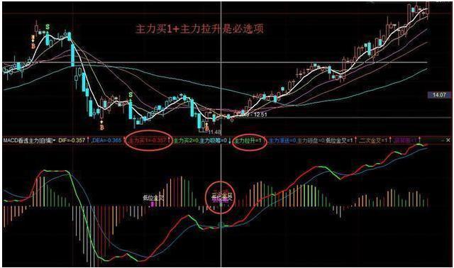 第一次有人把MACD说清楚了：死记“红柱绿柱”，远比“金叉死叉”准确