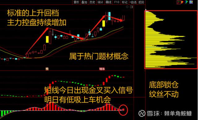 公牛集团很有可能就是下一个海天味业