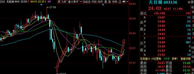 不惧震荡，四连阳上攻（603136）：明天有望涨停