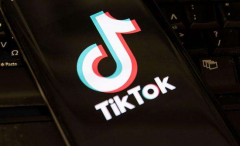 <b>TikTok最早将于周二提起联邦诉讼 挑战总统特朗普行政</b>